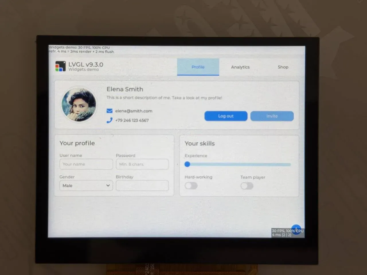 The LVGL widgets demo on the board screen